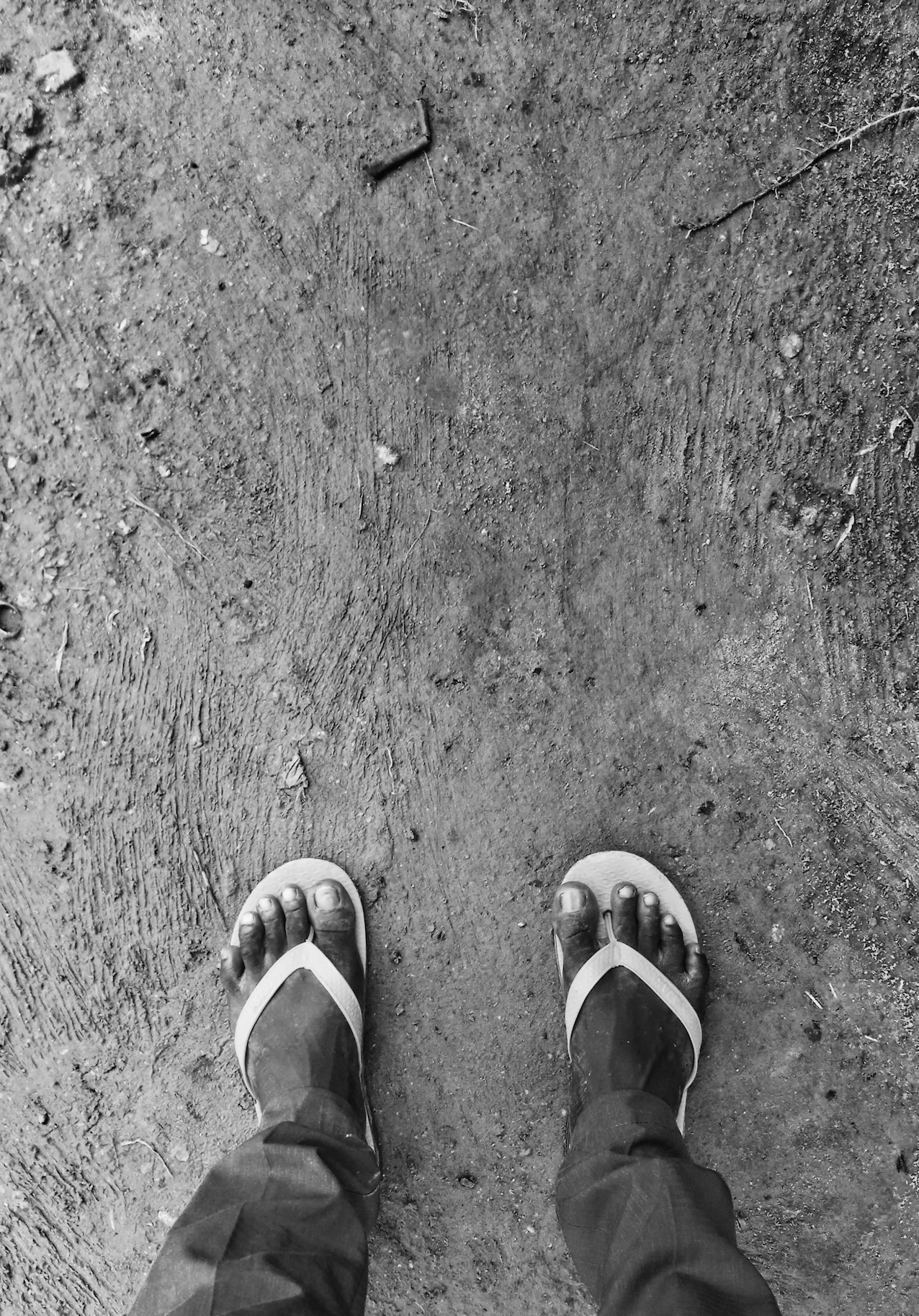 Kroko Feet